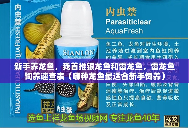 新手養(yǎng)龍魚，我首推銀龍魚和雷龍魚，雷龍魚飼養(yǎng)速查表（哪種龍魚最適合新手飼養(yǎng)）