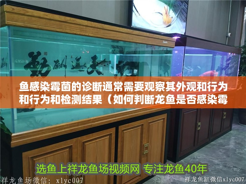 魚感染霉菌的診斷通常需要觀察其外觀和行為和行為和檢測結果（如何判斷龍魚是否感染霉菌）