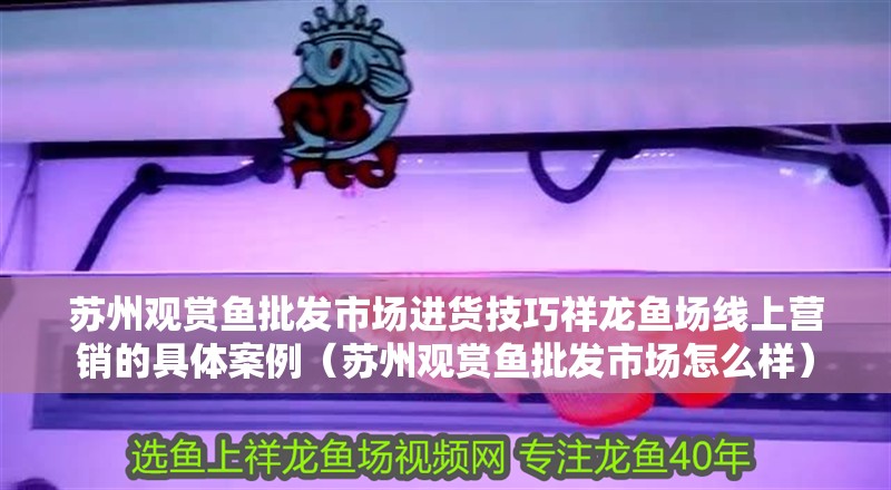蘇州觀賞魚(yú)批發(fā)市場(chǎng)進(jìn)貨技巧祥龍魚(yú)場(chǎng)線上營(yíng)銷的具體案例（蘇州觀賞魚(yú)批發(fā)市場(chǎng)怎么樣）