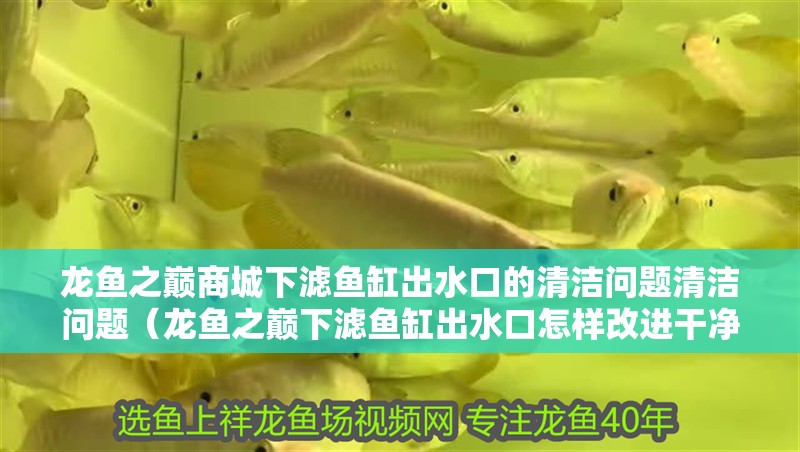 龍魚之巔商城下濾魚缸出水口的清潔問題清潔問題（龍魚之巔下濾魚缸出水口怎樣改進(jìn)干凈？）