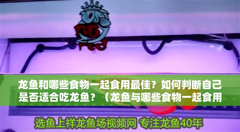 龍魚和哪些食物一起食用最佳？如何判斷自己是否適合吃龍魚？（龍魚與哪些食物一起食用最佳）