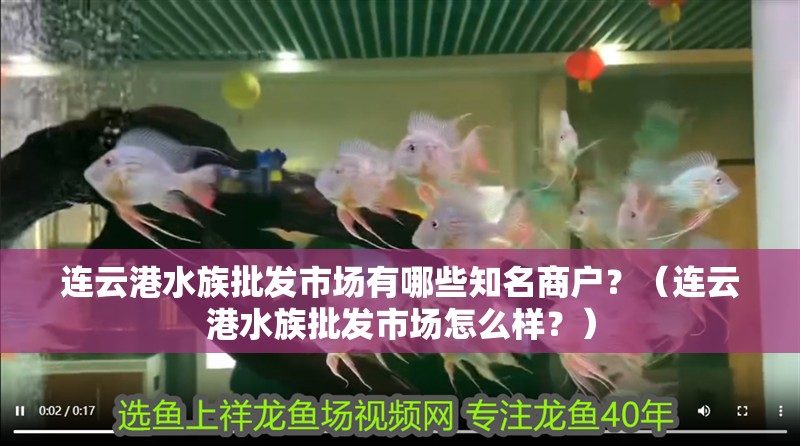 連云港水族批發市場有哪些知名商戶？（連云港水族批發市場怎么樣？）
