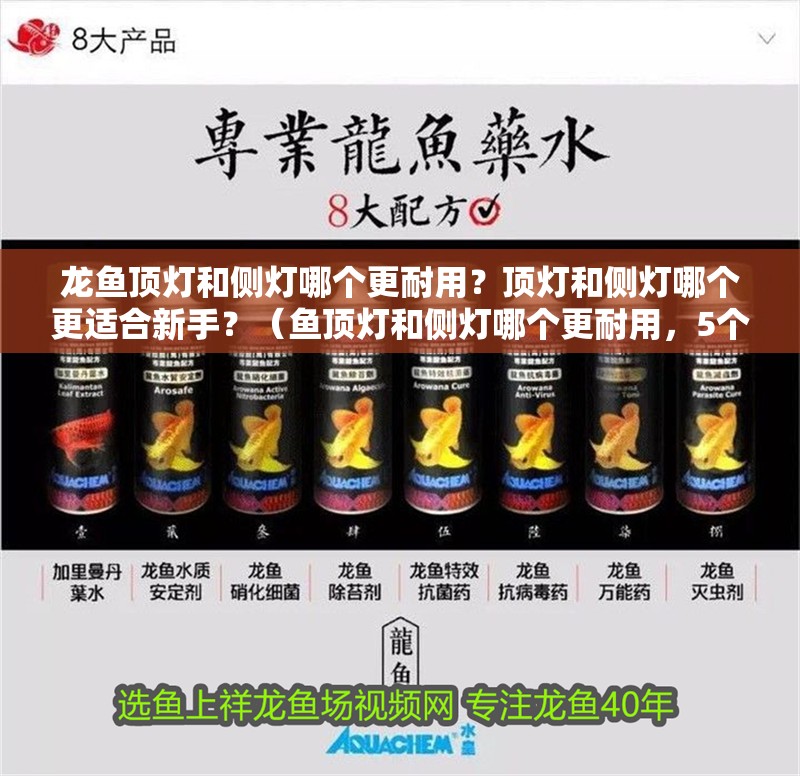 龍魚頂燈和側燈哪個更耐用？頂燈和側燈哪個更適合新手？（魚頂燈和側燈哪個更耐用，5個關鍵參數和常見錯誤，避免失誤~）