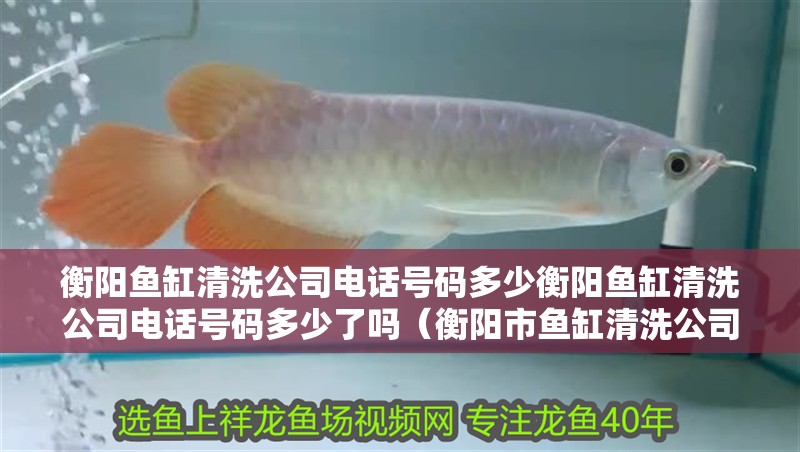 衡陽魚缸清洗公司電話號碼多少衡陽魚缸清洗公司電話號碼多少了嗎（衡陽市魚缸清洗公司電話號碼多少）