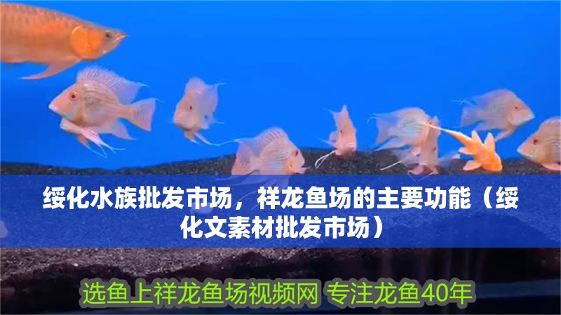 綏化水族批發市場，祥龍魚場的主要功能（綏化文素材批發市場）
