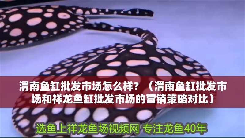 渭南魚缸批發市場怎么樣？（渭南魚缸批發市場和祥龍魚缸批發市場的營銷策略對比）