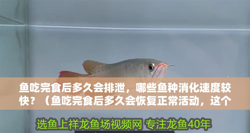 魚吃完食后多久會排泄，哪些魚種消化速度較快？（魚吃完食后多久會恢復正常活動，這個時間會受到幾個因素影響）