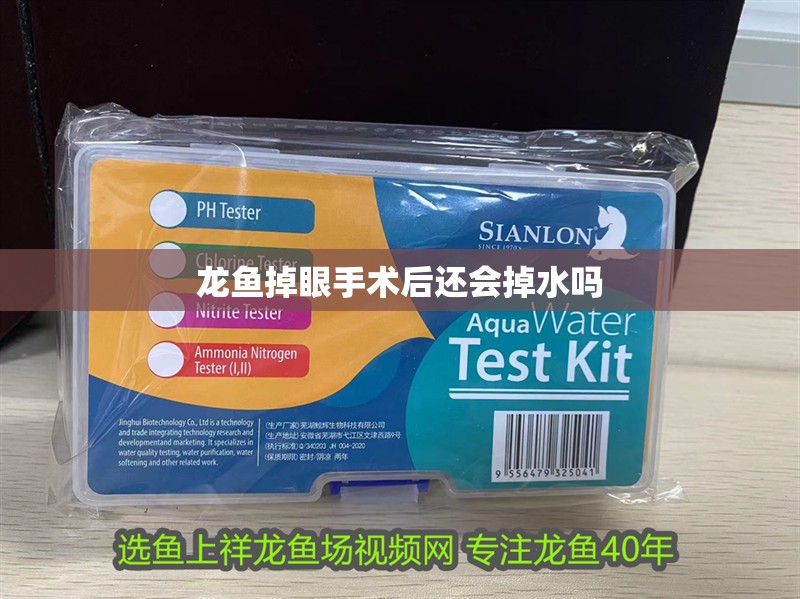 龍魚掉眼手術后還會掉水嗎