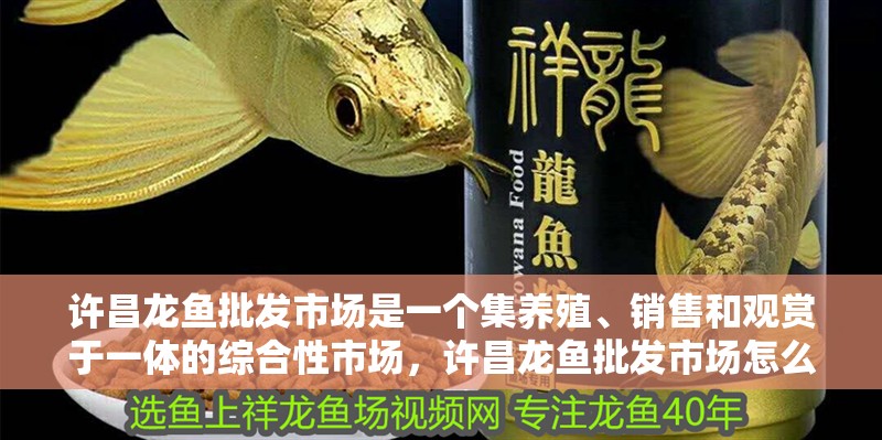 許昌龍魚批發市場是一個集養殖、銷售和觀賞于一體的綜合性市場，許昌龍魚批發市場怎么樣？
