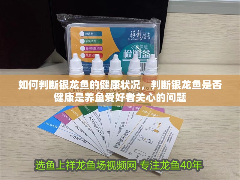 如何判斷銀龍魚的健康狀況，判斷銀龍魚是否健康是養魚愛好者關心的問題