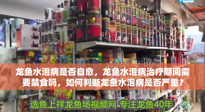 龍魚水泡病是否自愈，龍魚水泡病治療期間需要禁食嗎，如何判斷龍魚水泡病是否嚴重？