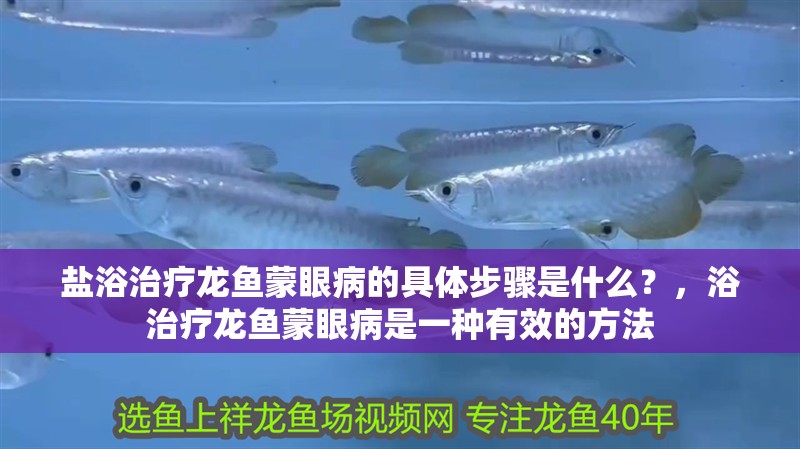 鹽浴治療龍魚蒙眼病的具體步驟是什么？，浴治療龍魚蒙眼病是一種有效的方法