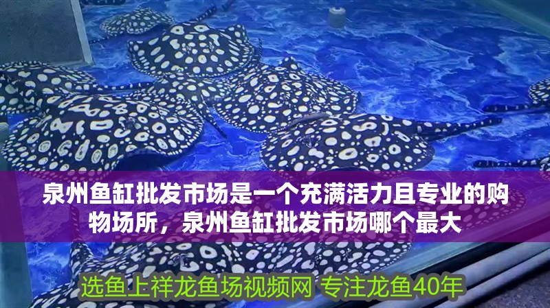 泉州魚缸批發市場是一個充滿活力且專業的購物場所，泉州魚缸批發市場哪個最大