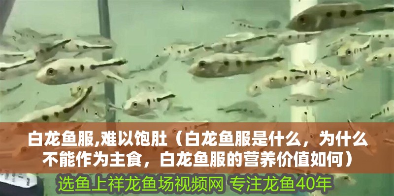 白龍魚服,難以飽肚（白龍魚服是什么，為什么不能作為主食，白龍魚服的營(yíng)養(yǎng)價(jià)值如何）