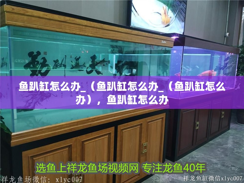 魚趴缸怎么辦_（魚趴缸怎么辦_（魚趴缸怎么辦），魚趴缸怎么辦