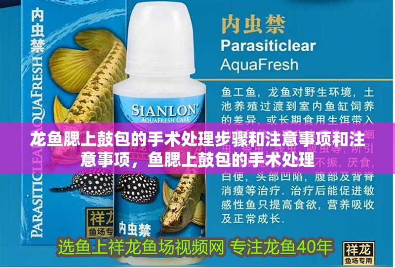 龍魚腮上鼓包的手術處理步驟和注意事項和注意事項，魚腮上鼓包的手術處理