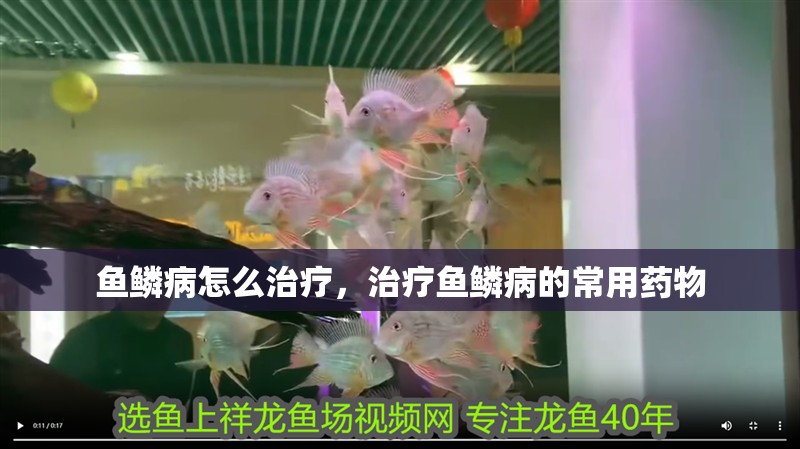 魚鱗病怎么治療，治療魚鱗病的常用藥物