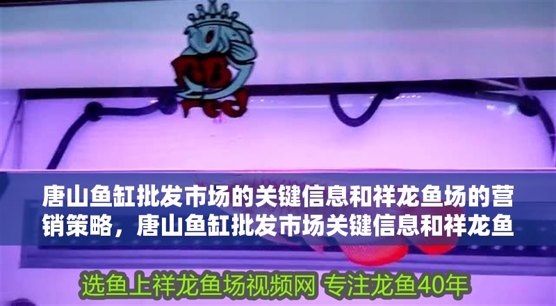 唐山魚缸批發市場的關鍵信息和祥龍魚場的營銷策略，唐山魚缸批發市場關鍵信息和祥龍魚場的營銷策略