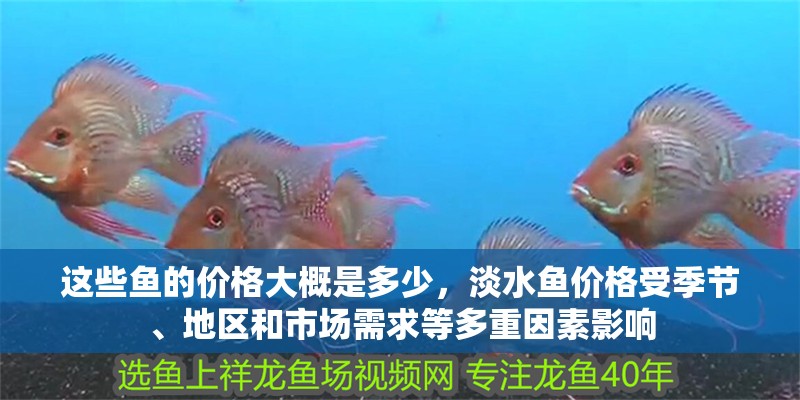 這些魚的價(jià)格大概是多少，淡水魚價(jià)格受季節(jié)、地區(qū)和市場需求等多重因素影響