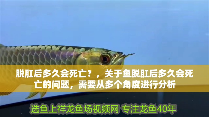 脫肛后多久會死亡？，關于魚脫肛后多久會死亡的問題，需要從多個角度進行分析