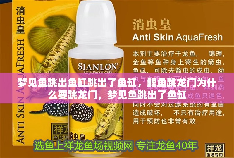 夢見魚跳出魚缸跳出了魚缸，鯉魚跳龍門為什么要跳龍門，夢見魚跳出了魚缸