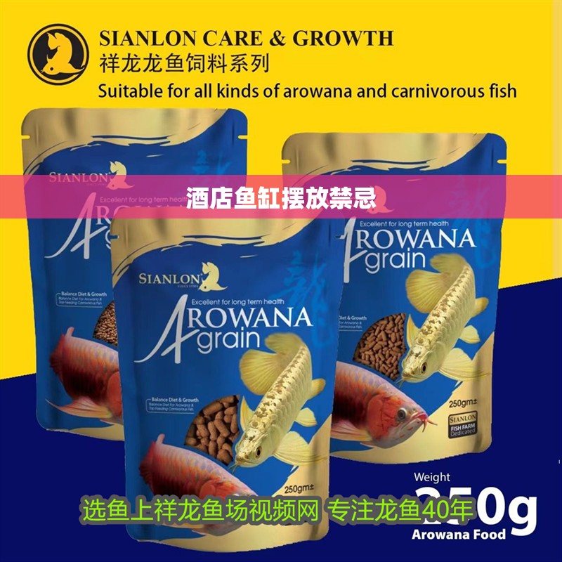 酒店魚缸擺放禁忌