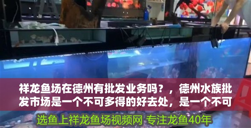 詳細(xì)閱讀:祥龍魚(yú)場(chǎng)在<strong><mark>德州</mark></strong>有批發(fā)業(yè)務(wù)嗎?,<strong><mark>德州</mark></strong>水族批發(fā)市場(chǎng)是一個(gè)不可多得的好去處,是一個(gè)不可多得的好去處 祥龍魚(yú)場(chǎng)在<strong><mark>德州</mark></strong>有批發(fā)業(yè)務(wù)嗎?,<strong><mark>德州</mark></strong>水族批發(fā)市場(chǎng)是一個(gè)不可多得的好去處,是一個(gè)不可多得的好去處