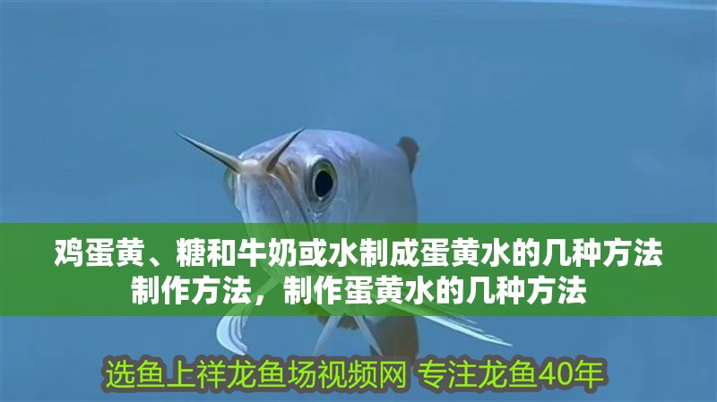 雞蛋黃、糖和牛奶或水制成蛋黃水的幾種方法制作方法，制作蛋黃水的幾種方法