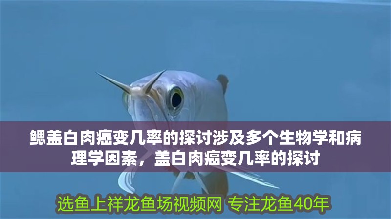 鰓蓋白肉癌變幾率的探討涉及多個生物學和病理學因素，蓋白肉癌變幾率的探討