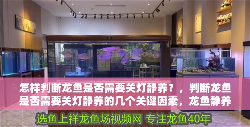 怎樣判斷龍魚是否需要關燈靜養？，判斷龍魚是否需要關燈靜養的幾個關鍵因素，龍魚靜養需要喂食嗎