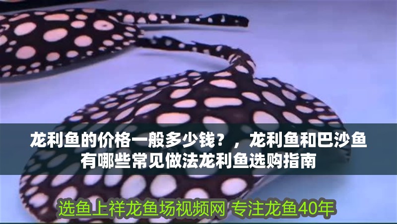 龍利魚的價格一般多少錢？，龍利魚和巴沙魚有哪些常見做法龍利魚選購指南