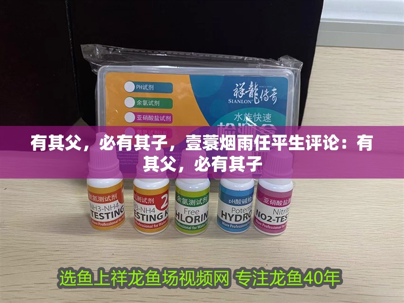 有其父，必有其子，壹蓑煙雨任平生評論：有其父，必有其子