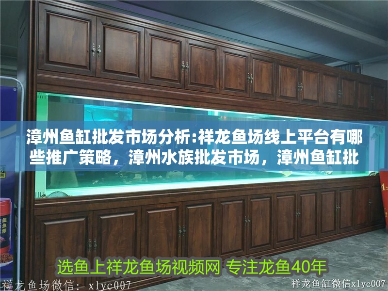 漳州魚缸批發市場分析:祥龍魚場線上平臺有哪些推廣策略，漳州水族批發市場，漳州魚缸批發市場分析