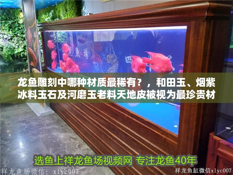 龍魚雕刻中哪種材質(zhì)最稀有？，<strong><mark>和田</mark></strong>玉、煙紫冰料玉石及河磨玉老料天地皮被視為最珍貴材質(zhì)