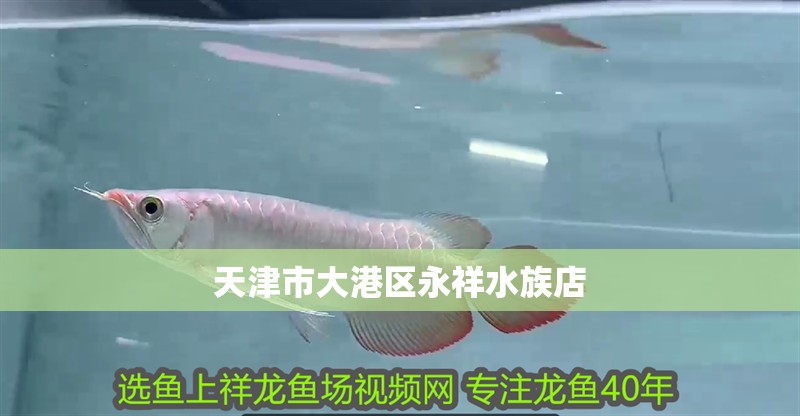 天津市大港區永祥水族店