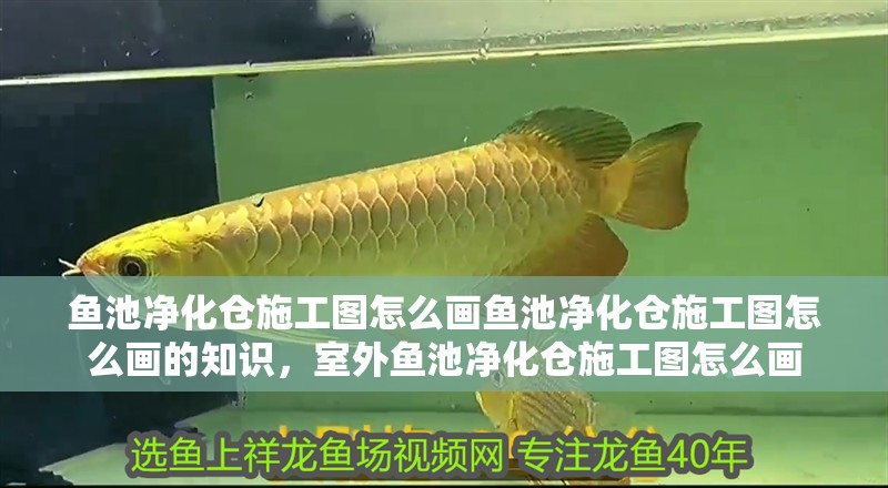 魚池凈化倉施工圖怎么畫魚池凈化倉施工圖怎么畫的知識，室外魚池凈化倉施工圖怎么畫