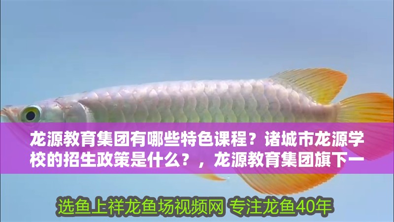 龍?jiān)唇逃瘓F(tuán)有哪些特色課程？諸城市龍?jiān)磳W(xué)校的招生政策是什么？，龍?jiān)唇逃瘓F(tuán)旗下一些知名學(xué)校：龍?jiān)磭?guó)際學(xué)校