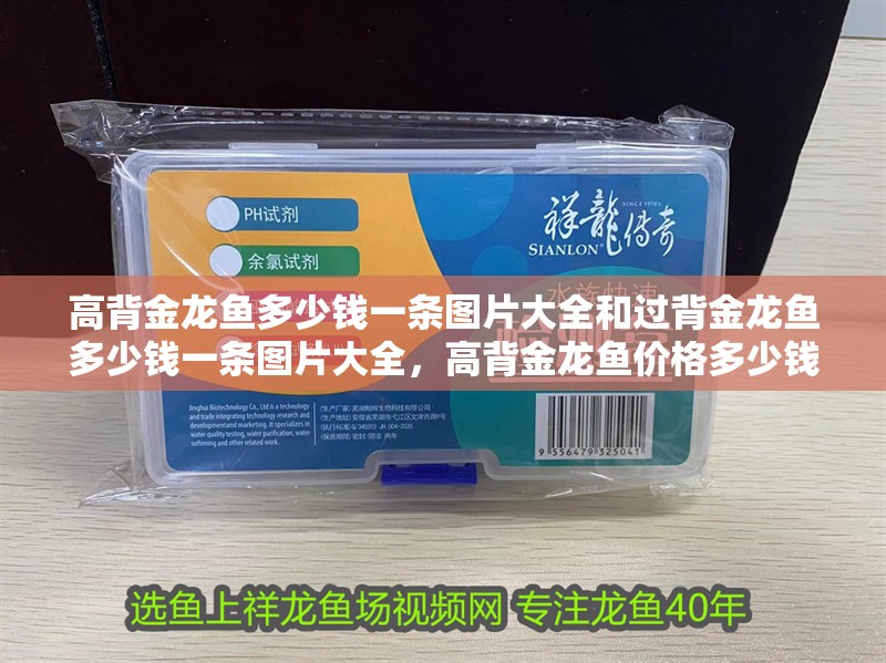 高背金龍魚多少錢一條圖片大全和過背金龍魚多少錢一條圖片大全，高背金龍魚價格多少錢一條圖片大全和過背金龍魚價格多少錢一條圖片大全