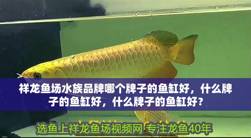祥龍魚場水族品牌哪個牌子的魚缸好，什么牌子的魚缸好，什么牌子的魚缸好？