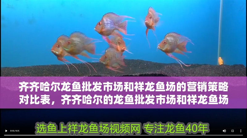 齊齊哈爾龍魚批發市場和祥龍魚場的營銷策略對比表，齊齊哈爾的龍魚批發市場和祥龍魚場的營銷
