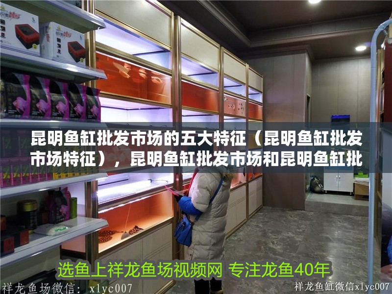 昆明魚缸批發市場的五大特征（昆明魚缸批發市場特征），昆明魚缸批發市場和昆明魚缸批發市場的五大特征