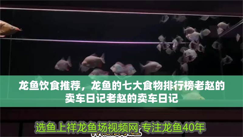 龍魚飲食推薦，龍魚的七大食物排行榜老趙的賣車日記老趙的賣車日記