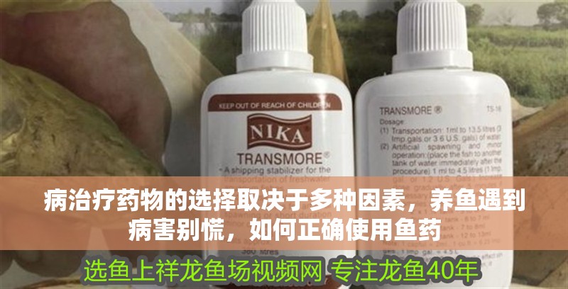 病治療藥物的選擇取決于多種因素，養魚遇到病害別慌，如何正確使用魚藥