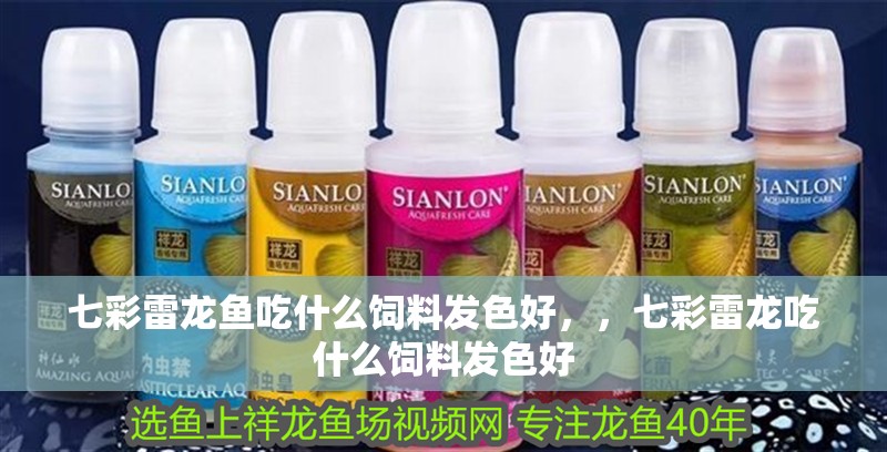 七彩雷龍魚吃什么飼料發色好，，七彩雷龍吃什么飼料發色好
