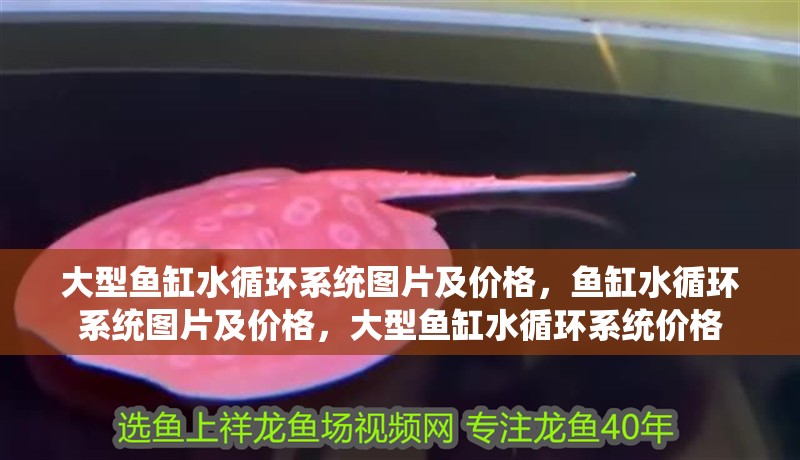 大型魚缸水循環系統圖片及價格，魚缸水循環系統圖片及價格，大型魚缸水循環系統價格