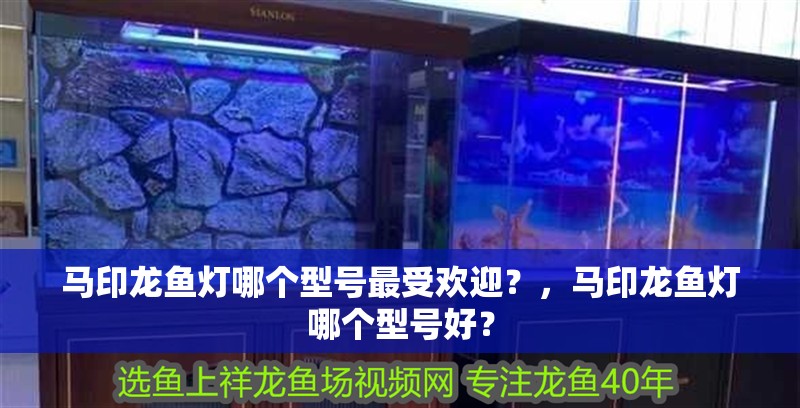 馬印龍魚燈哪個型號最受歡迎？，馬印龍魚燈哪個型號好？