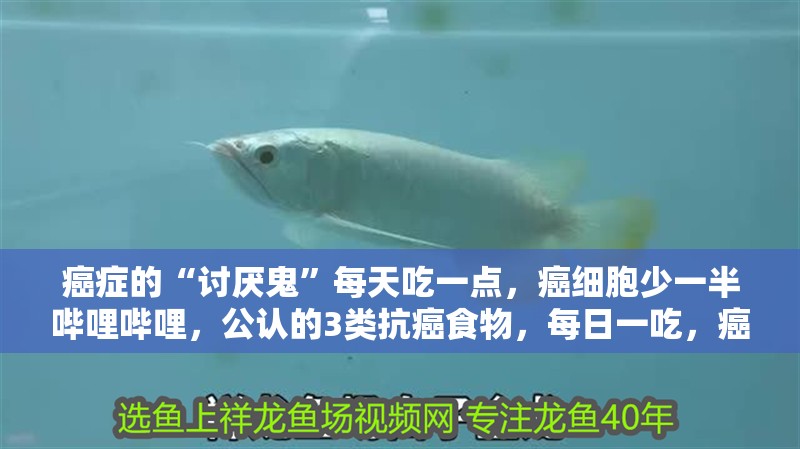癌癥的“討厭鬼”每天吃一點(diǎn)，癌細(xì)胞少一半嗶哩嗶哩，公認(rèn)的3類抗癌食物，每日一吃，癌癥不沾身！