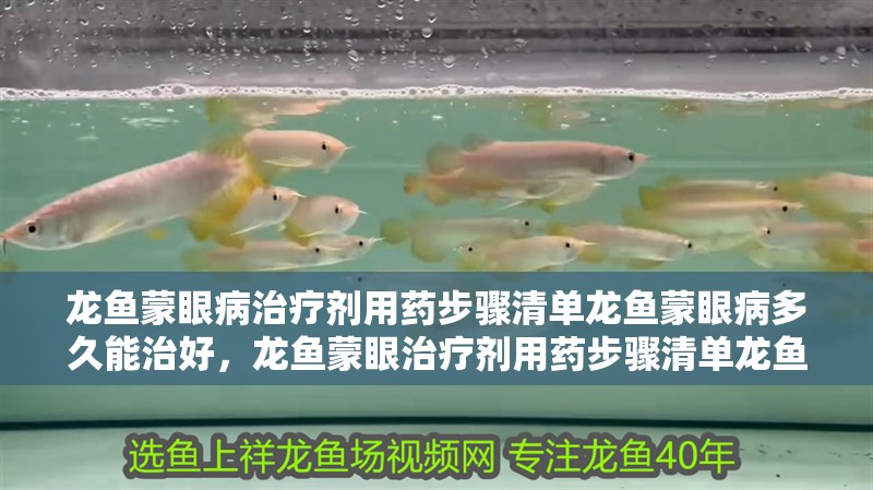 龍魚蒙眼病治療劑用藥步驟清單龍魚蒙眼病多久能治好，龍魚蒙眼治療劑用藥步驟清單龍魚蒙眼病多久能治好