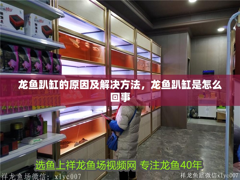 龍魚趴缸的原因及解決方法，龍魚趴缸是怎么回事