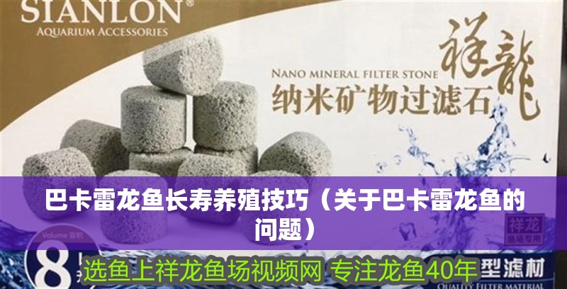 巴卡雷龍魚長壽養殖技巧（關于巴卡雷龍魚的問題）